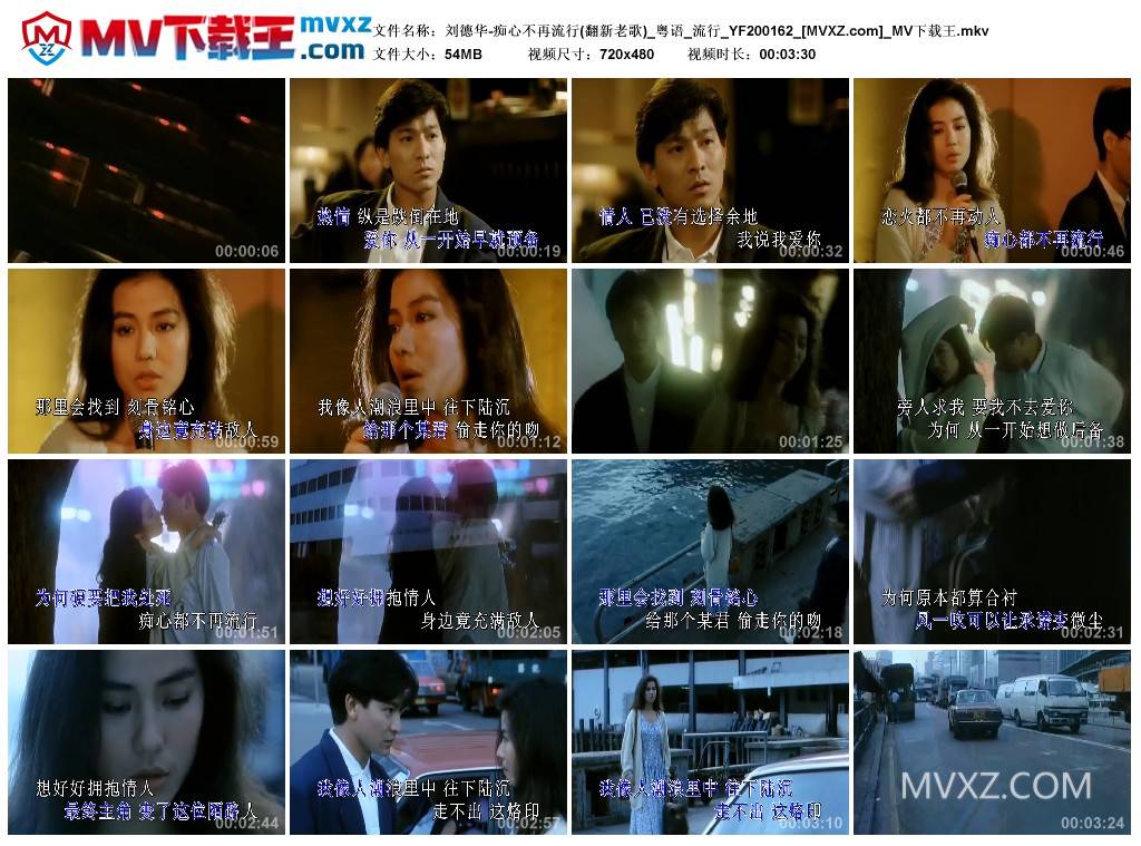 刘德华-痴心不再流行(翻新老歌)_粤语_流行_YF200162
